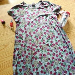 Disney LuLaRoe Carly Dress
